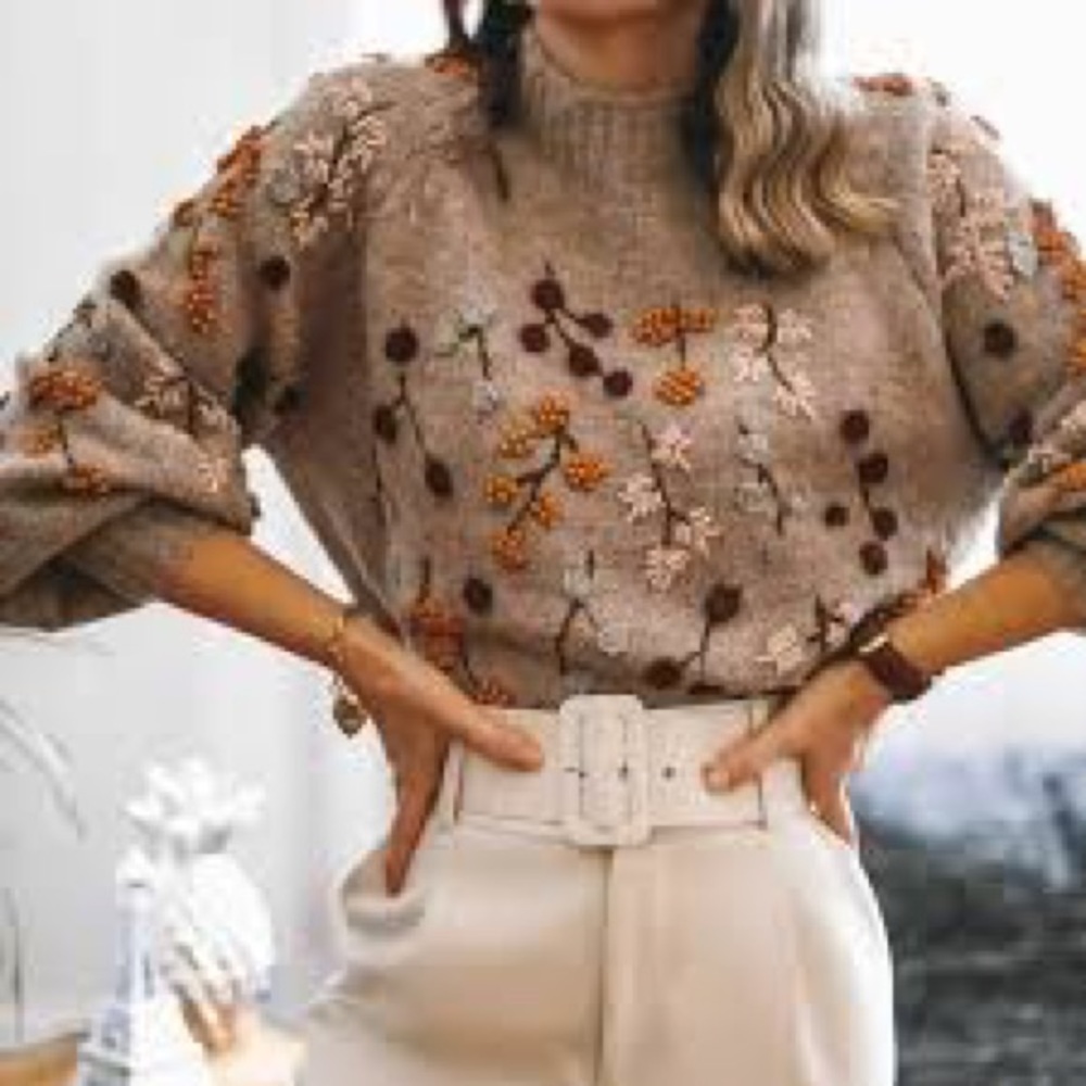 Zara Special Edition  Beaded knit sweater